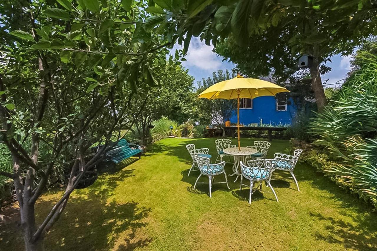 Stayvista At Violet Hill With Bonfire, Gazebo & Hill View Shimla Eksteriør billede