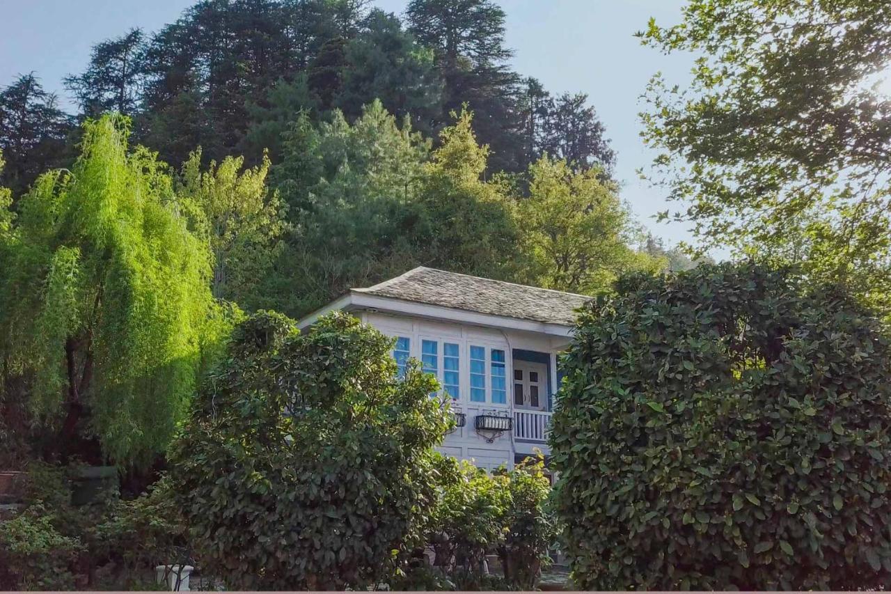 Stayvista At Violet Hill With Bonfire, Gazebo & Hill View Shimla Eksteriør billede